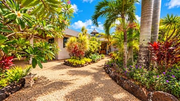 A tropical garden pathway leading to a building with a tiled roof.