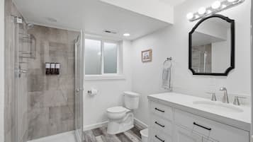 A bathroom with a shower, toilet, vanity, and a mirror with lights.