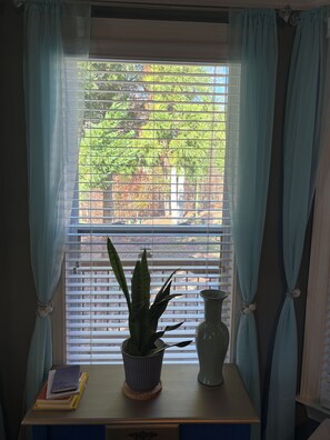 Une fenêtre avec des stores, une plante en pot, un vase et une pile de livres sur une table.