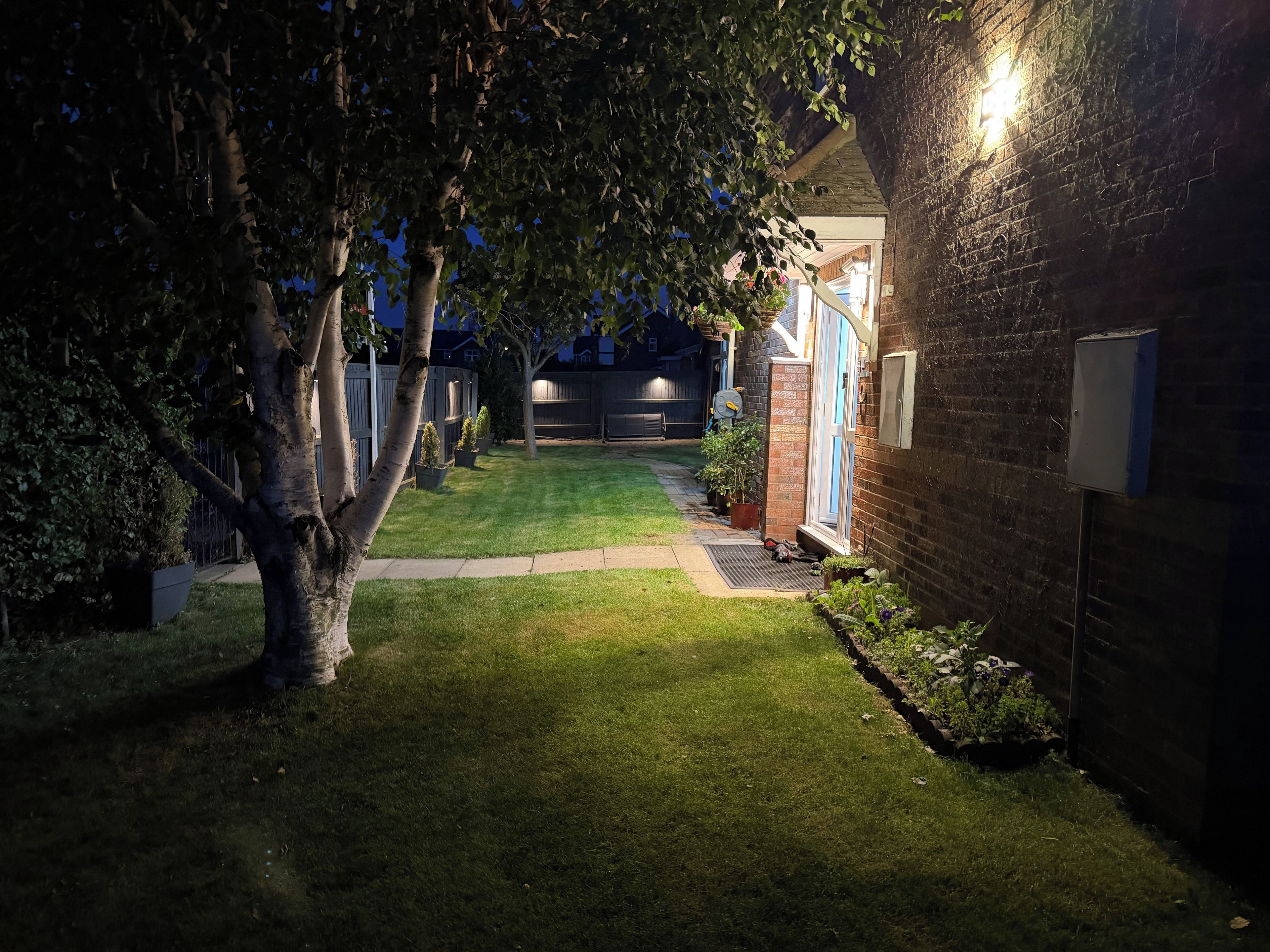 A well-lit backyard with a lawn, a brick wall, and a tree.