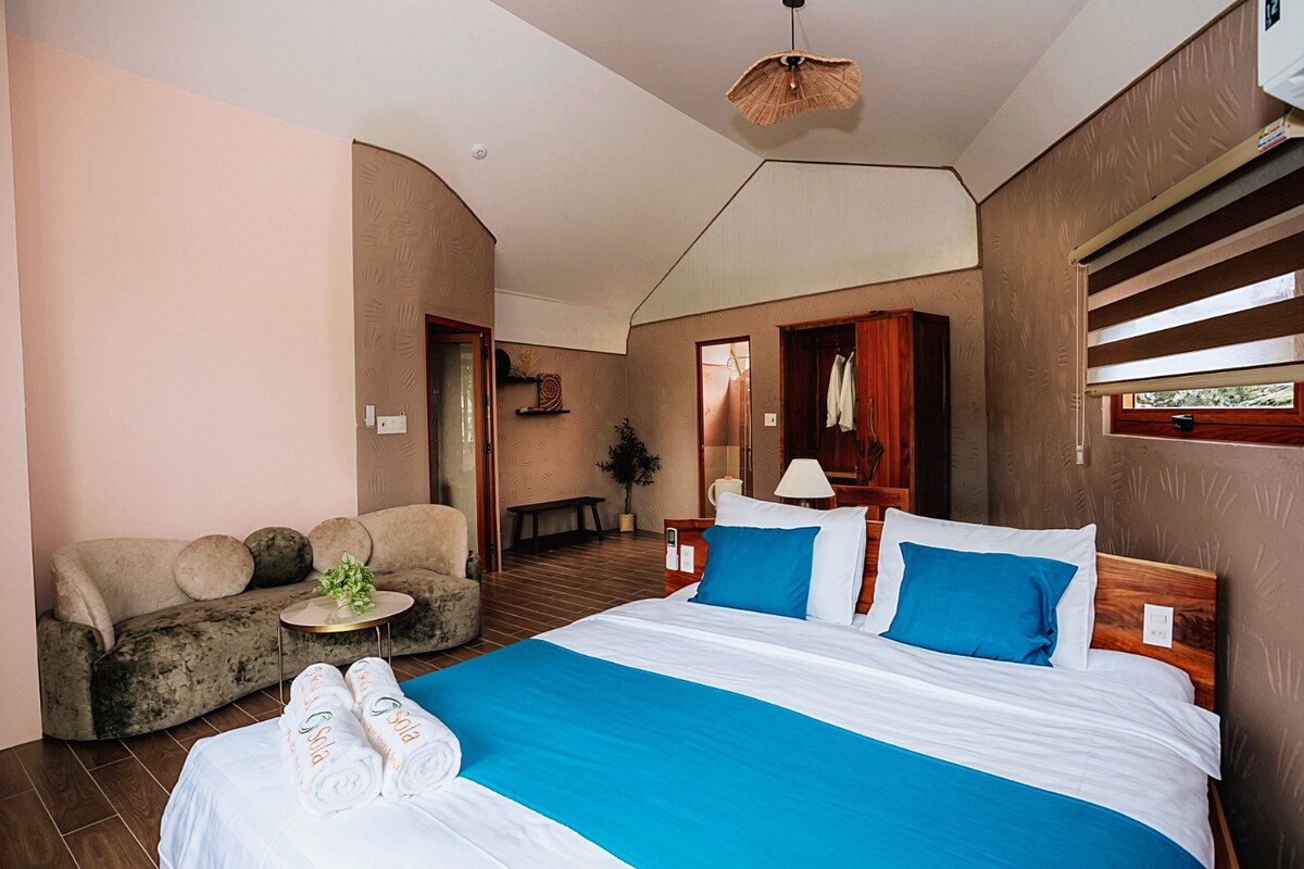 A hotel room with a bed, a sofa, a small table, and a plant.