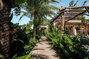 A pathway leading through a lush garden with a wooden pergola structure.
