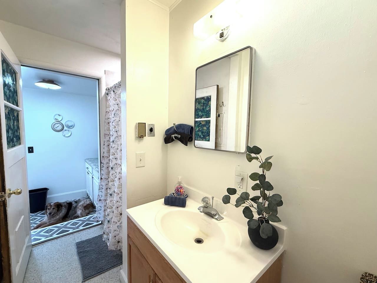 Un baño con lavamanos, espejo y planta en maceta.