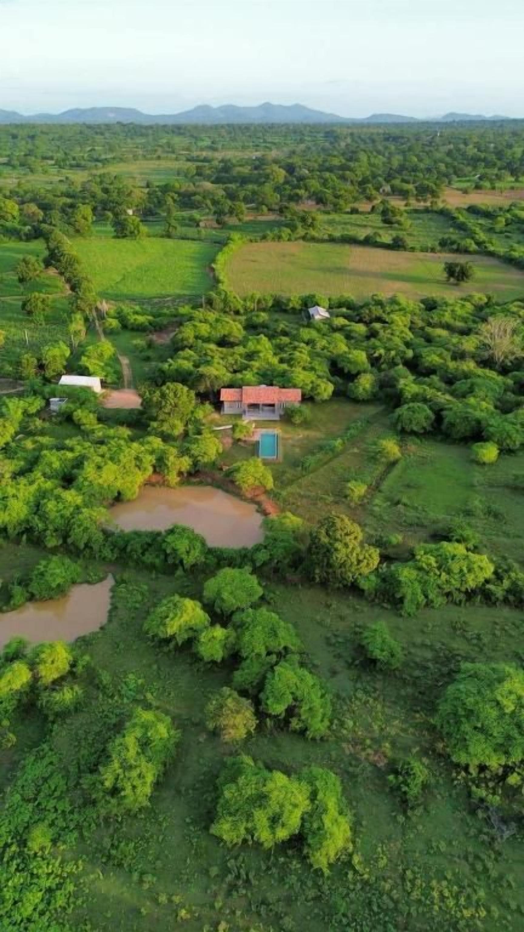 A rural property with a house surrounded by lush greenery and fields.