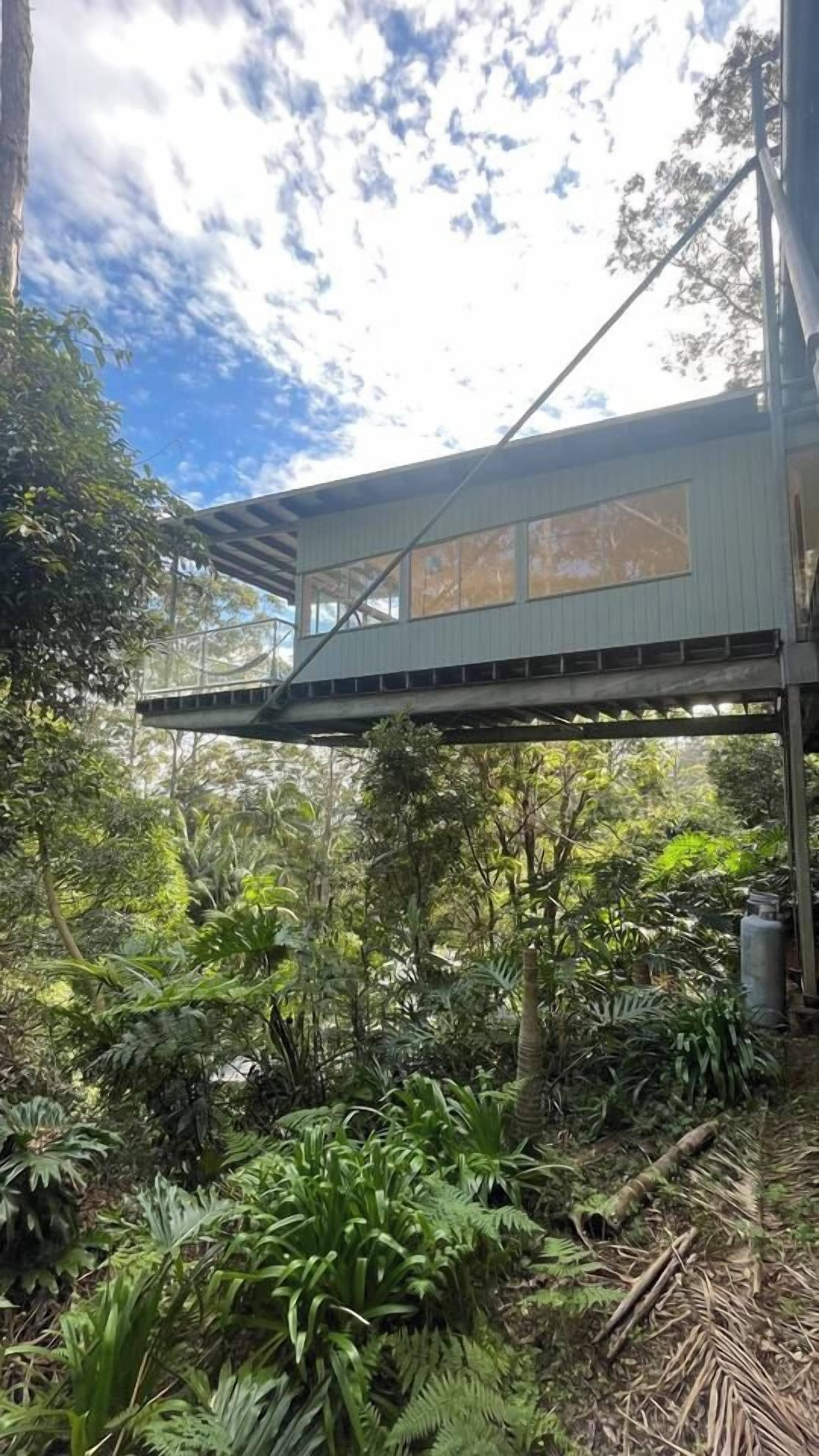 A modern house with a flat roof and large windows, surrounded by dense tropical vegetation.