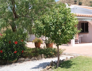 A garden with a variety of plants and a white building with a tiled roof. - Holiday Home in Torrox With Swimming Pool (Torrox)