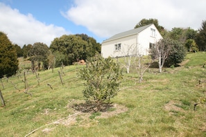 A white building with a sloped roof, surrounded by a grassy field with trees and a fence. - Cozy Stay on Coast to Coast (Kaikohe)