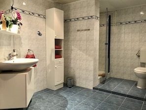 Ein Badezimmer mit einem weißen Waschbecken, einer Duschkabine aus Glas und einer Toilette.