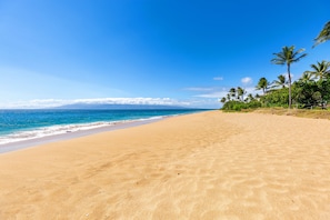 A beach with a clear sky, ocean, and palm trees. - Gorgeous Kaanapali 3BR with Dreamy Ocean Views (Lahaina)