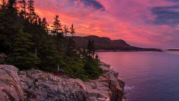 A rocky coastline with trees and a sunset sky.