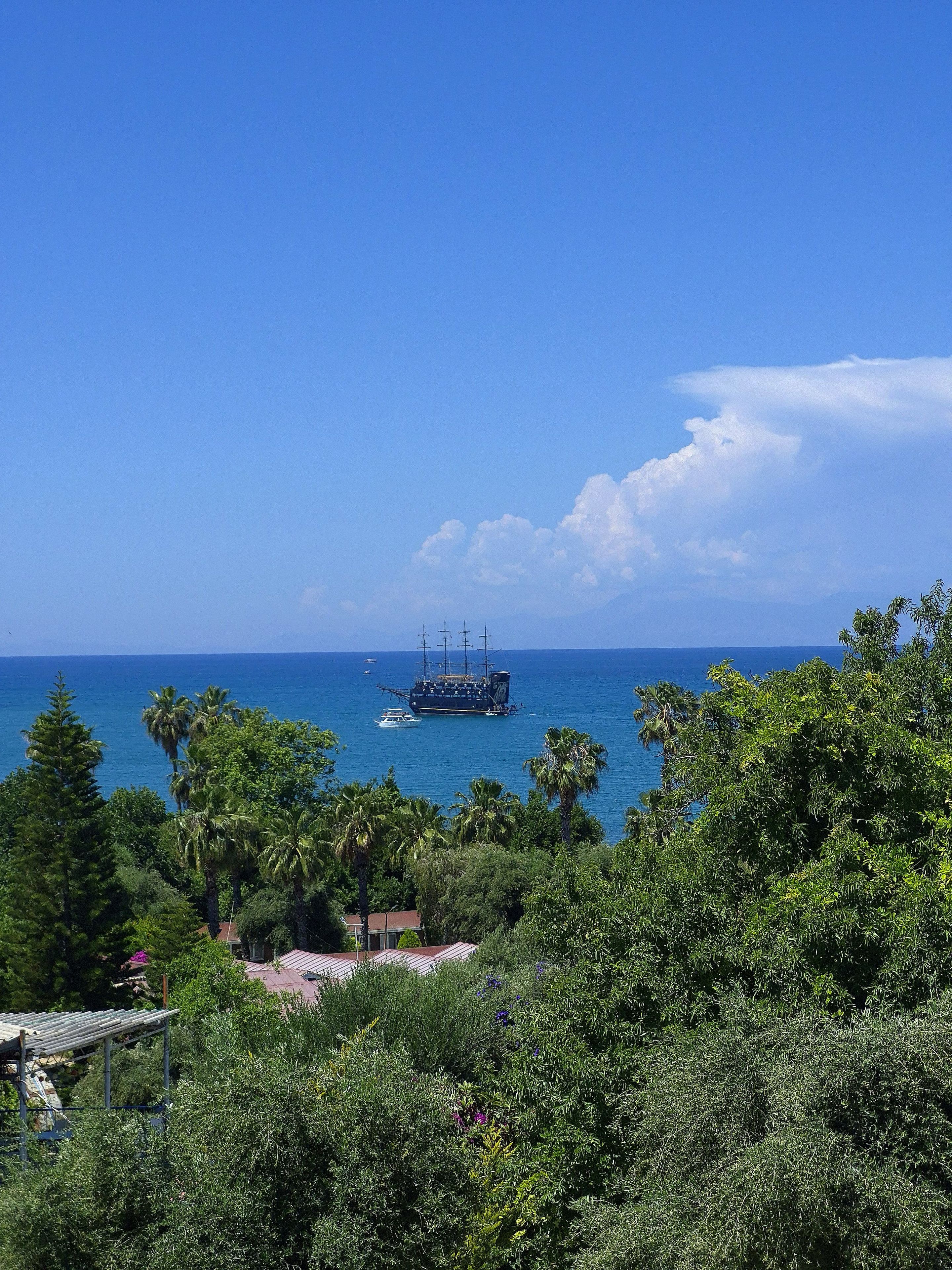 Une vue sur la côte, avec un navire à l’horizon, entouré d’une végétation luxuriante et sous un ciel bleu dégagé.