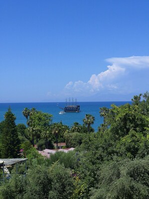 A coastal view with a ship in the distance, surrounded by dense greenery and a clear blue sky.