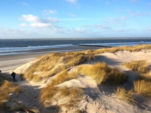 Ein Strand mit Dünen und einer Person, die spazieren geht.