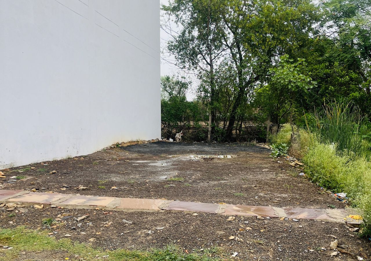 A paved area with a white wall on one side and a grassy area with trees on the other.