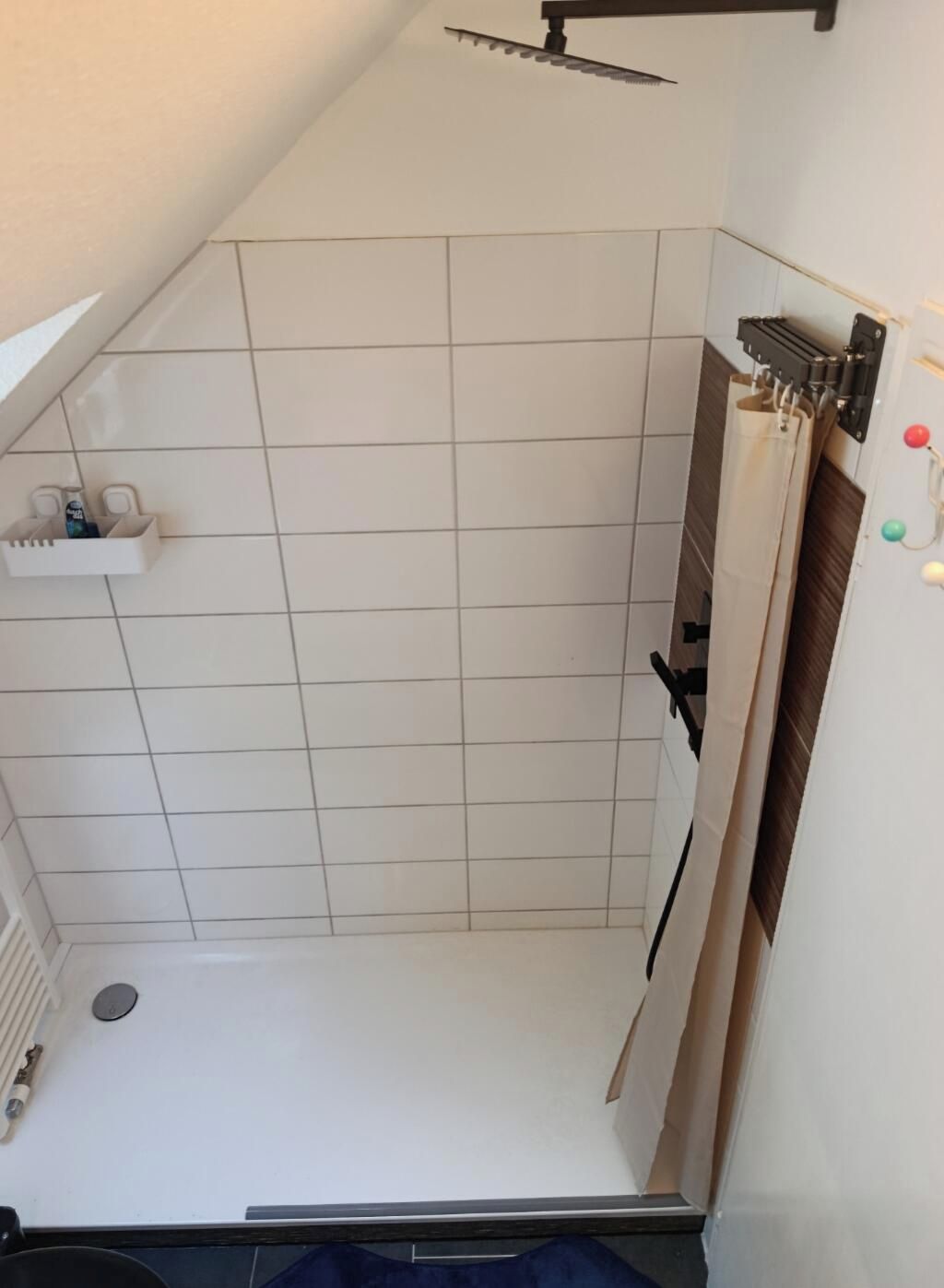 Ein Duschbereich mit weiß gefliester Wand, Ablagefläche für Pflegeprodukte und Handtuchhalter.