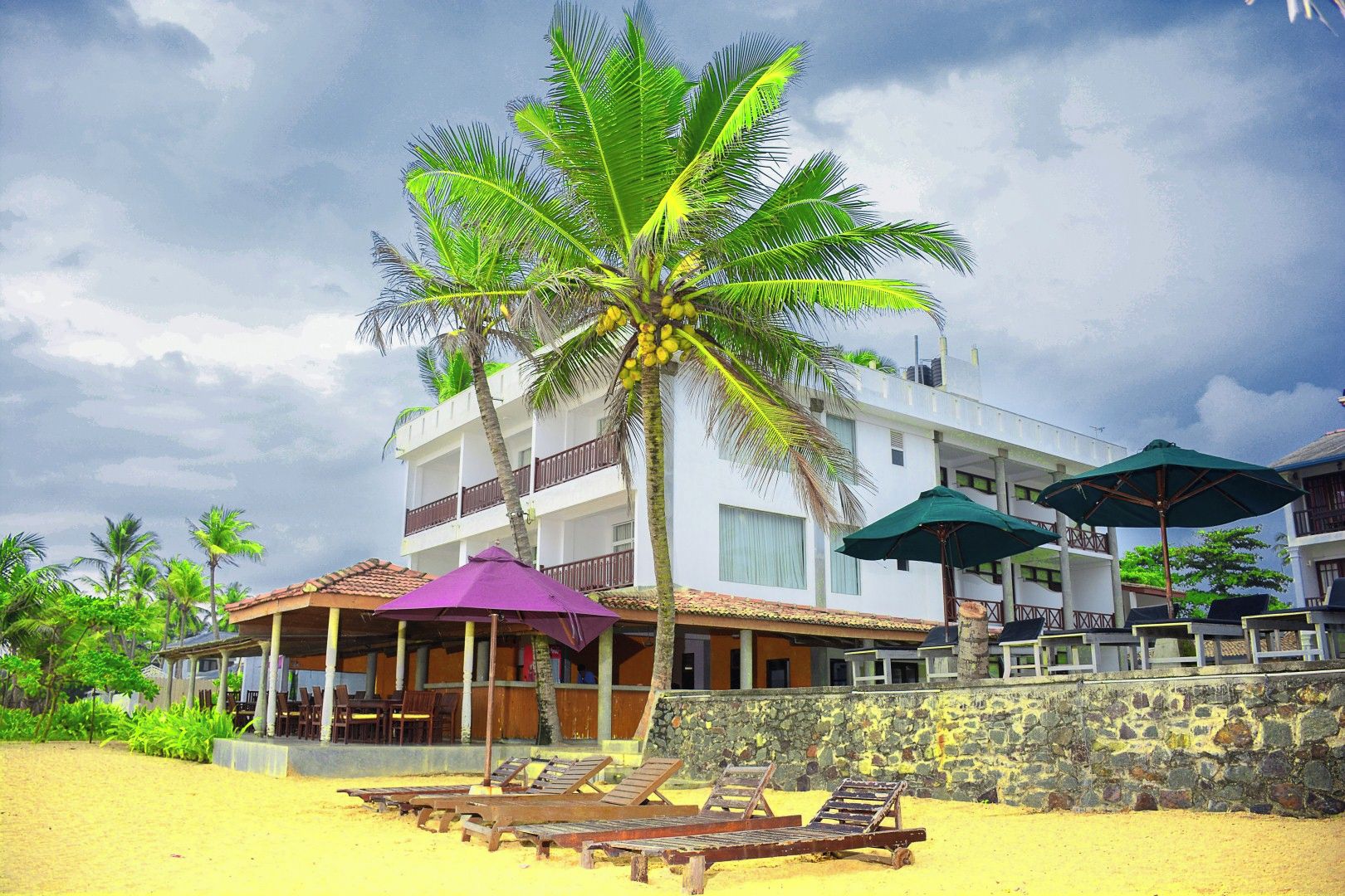 Um hotel na praia com uma palmeira, espreguiçadeiras e guarda-sóis.