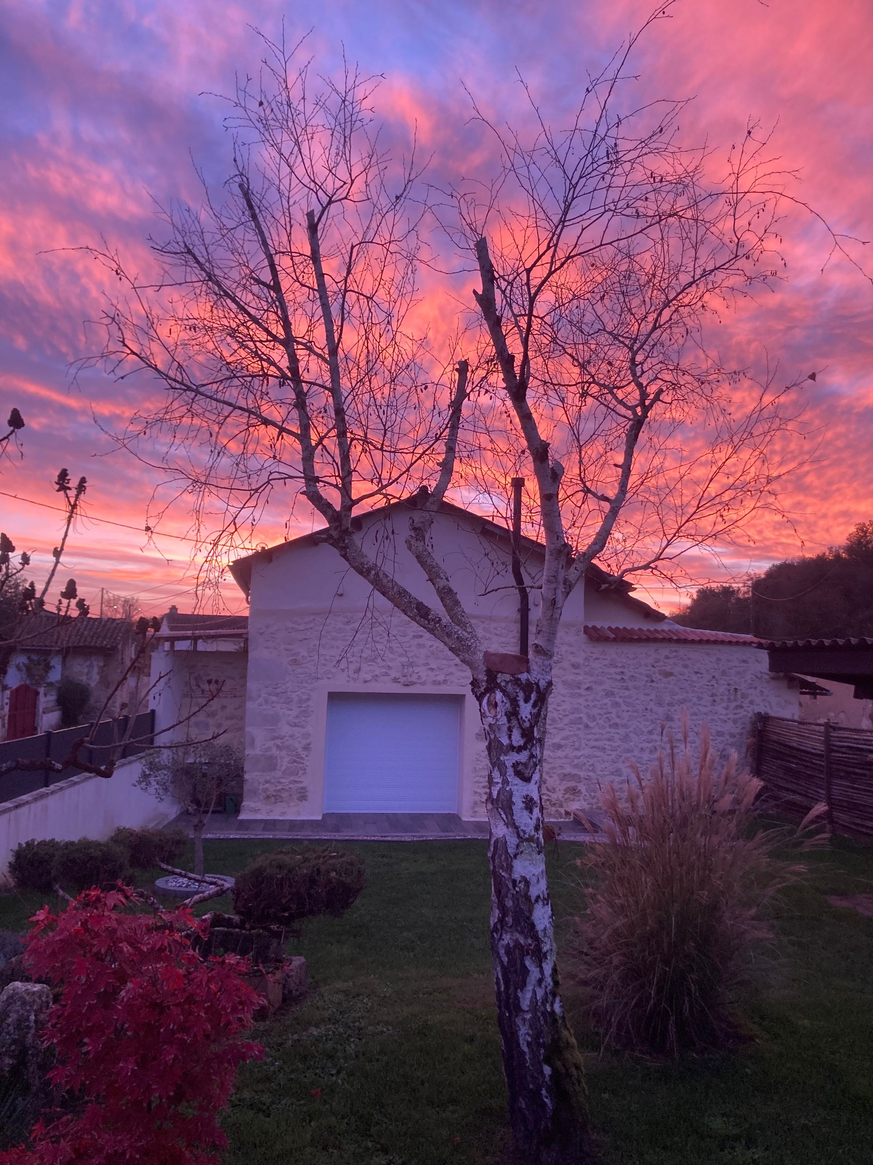 Un immeuble résidentiel avec un garage, entouré d’une pelouse et d’un arbre.