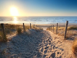 A sandy beach path with a wooden fence, leading to the ocean. - Ok42 Holiday Home With dog Oostkapelle (Oostkapelle)