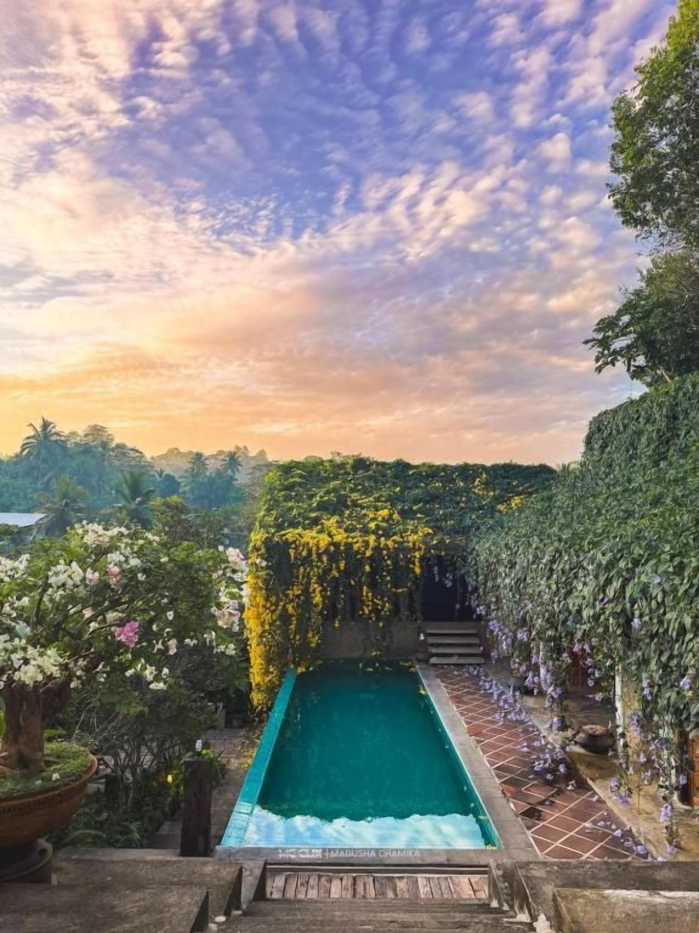 A swimming pool with a view of a garden and trees.
