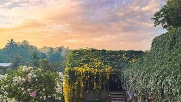 A swimming pool with a view of a garden and trees.