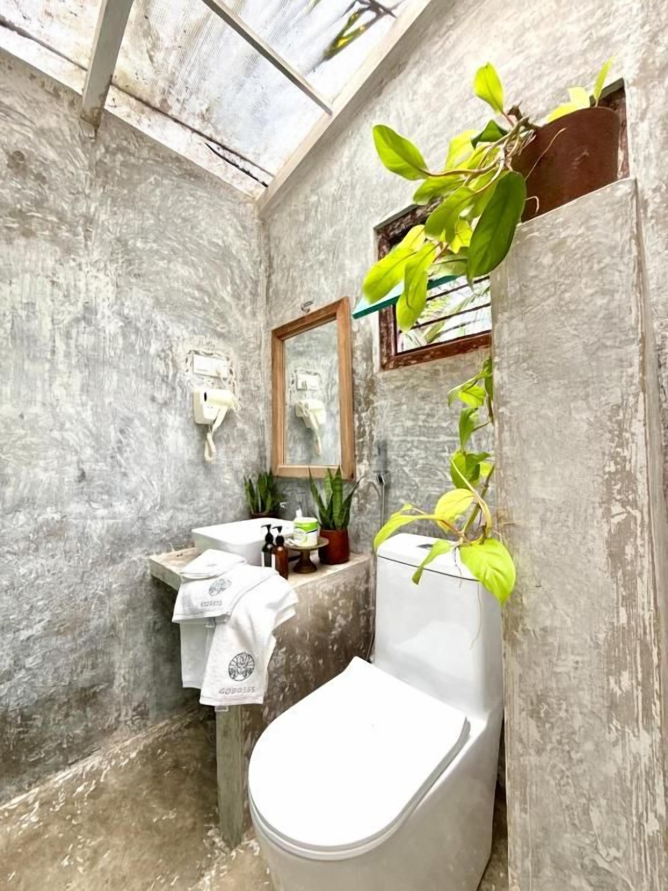 A bathroom with a concrete wall, a white toilet, a sink with a mirror, and a plant.