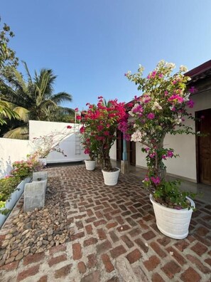 A courtyard with potted plants and a brick floor.