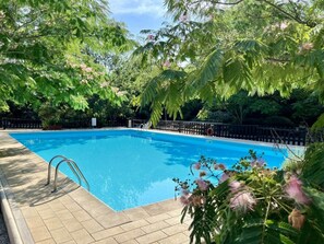 Ein rechteckiger Swimmingpool mit Fliesen umgeben, von üppiger Vegetation und Bäumen gesäumt.