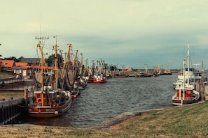 A harbor with multiple fishing boats docked along the waterfront. - Holiday apartment in Emden with swimming pool (Emden)