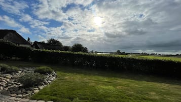 A rural landscape with a stone pathway leading to a grassy area, surrounded by hedges and a thatched-roof building.