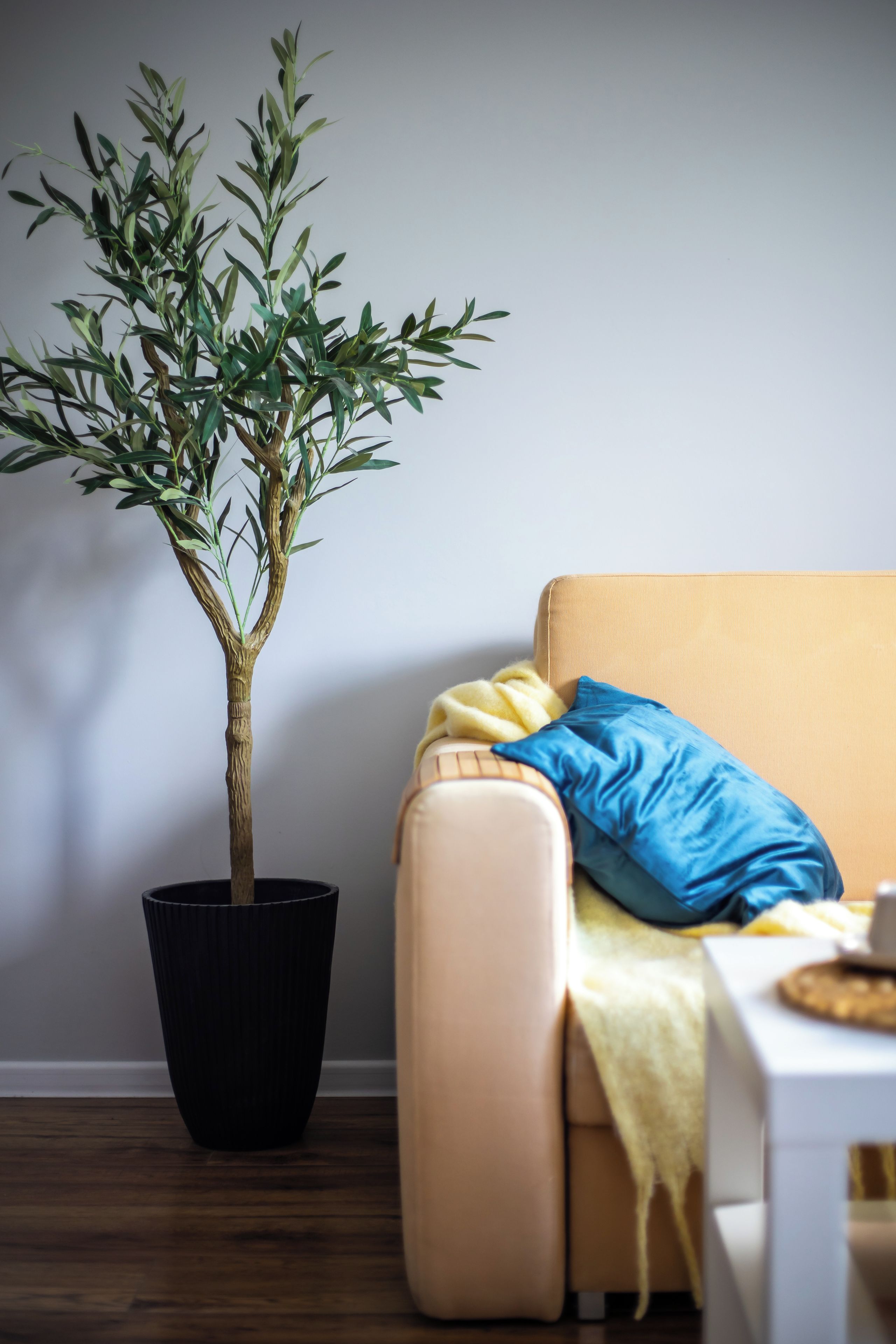 Una habitación con una planta en maceta, un sofá y una mesita.