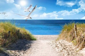 A pathway leading to a beach with seagulls flying overhead. - Sunset - OG/DG || Sylt (Sylt)
