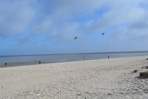 Een strand met mensen en vlieger(s).