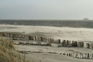 Une plage avec des dunes de sable et un navire à l’horizon.