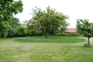 A grassy area with a large tree and a building with a red roof in the background. - Holiday apartment with 2 bedrooms (Wohlenberg)