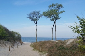 Ein sandiger Küstenpfad führt zum Meer, gesäumt von Bäumen und Vegetation.