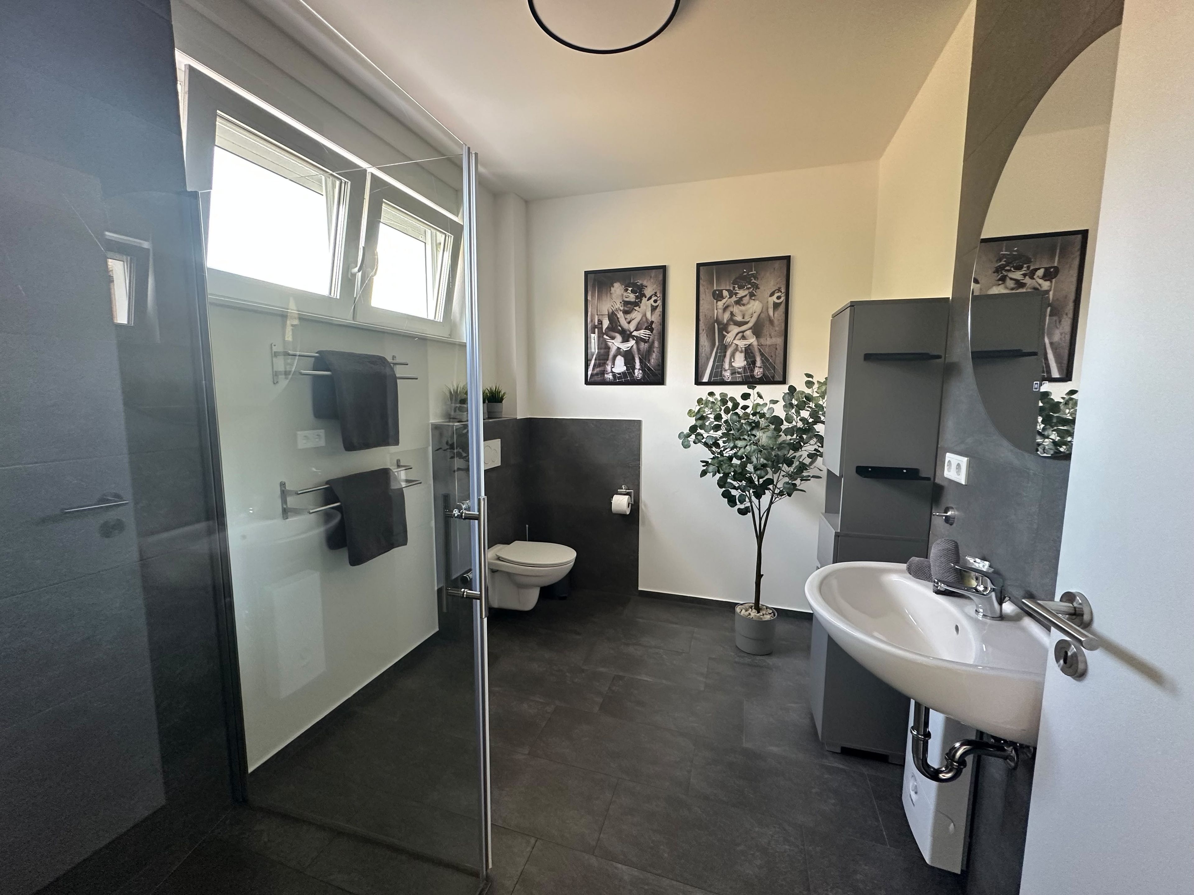Une salle de bain moderne avec une douche à parois de verre, des toilettes, un lavabo et une plante en pot.