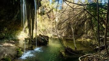 Een natuurlijk landschap met een waterval, helder water en omliggende begroeiing.