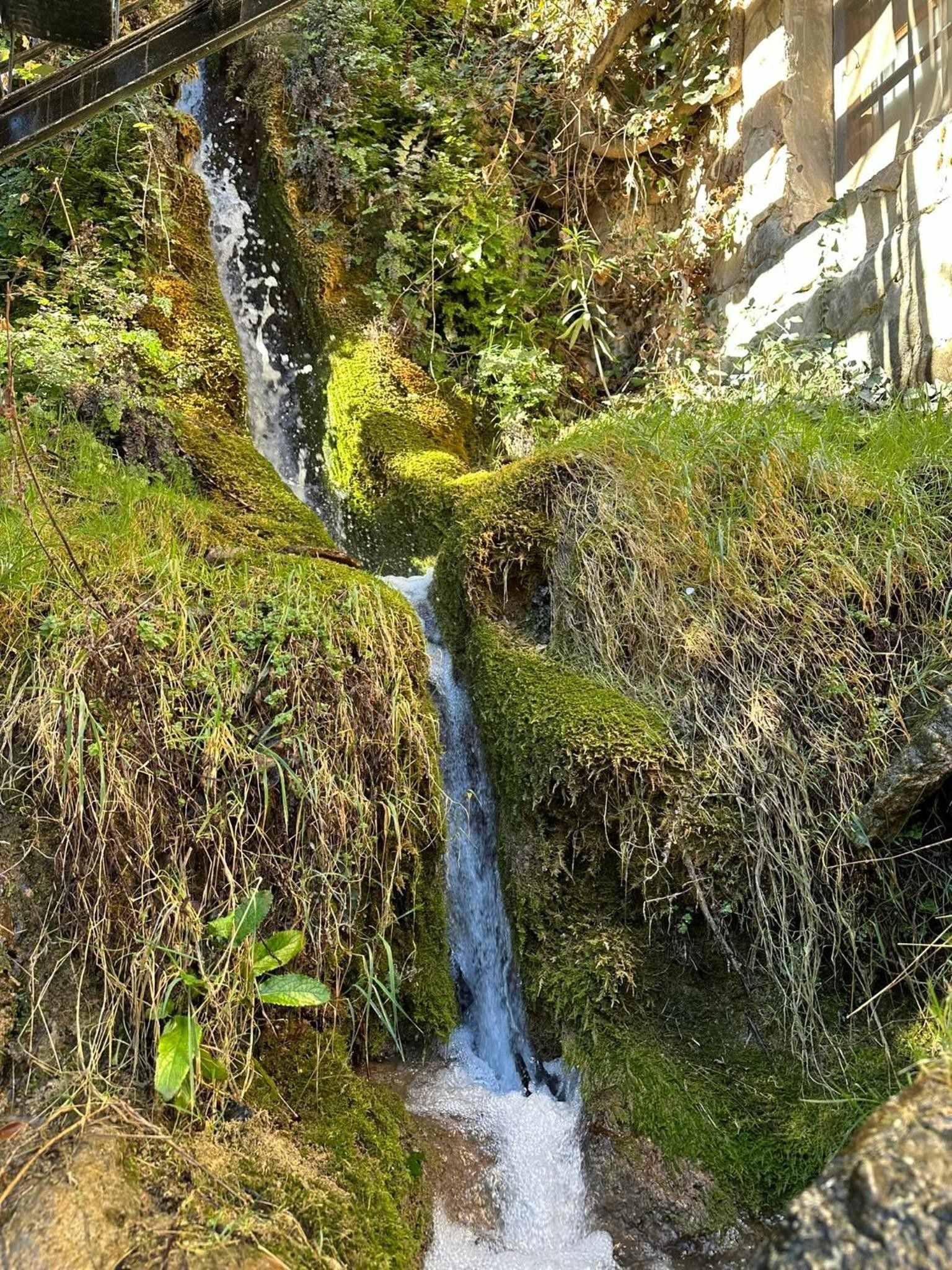 Una cascada pequeña rodeada de exuberante follaje y rocas cubiertas de musgo.