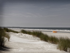 Ein Strand mit Dünen und einem Zelt.