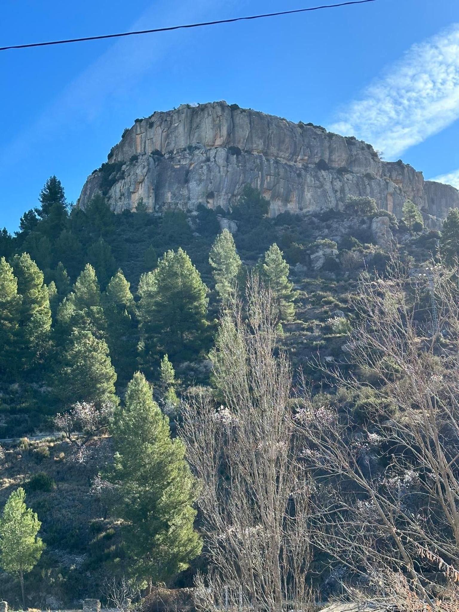 Una montaña con cima rocosa y un primer plano boscoso.