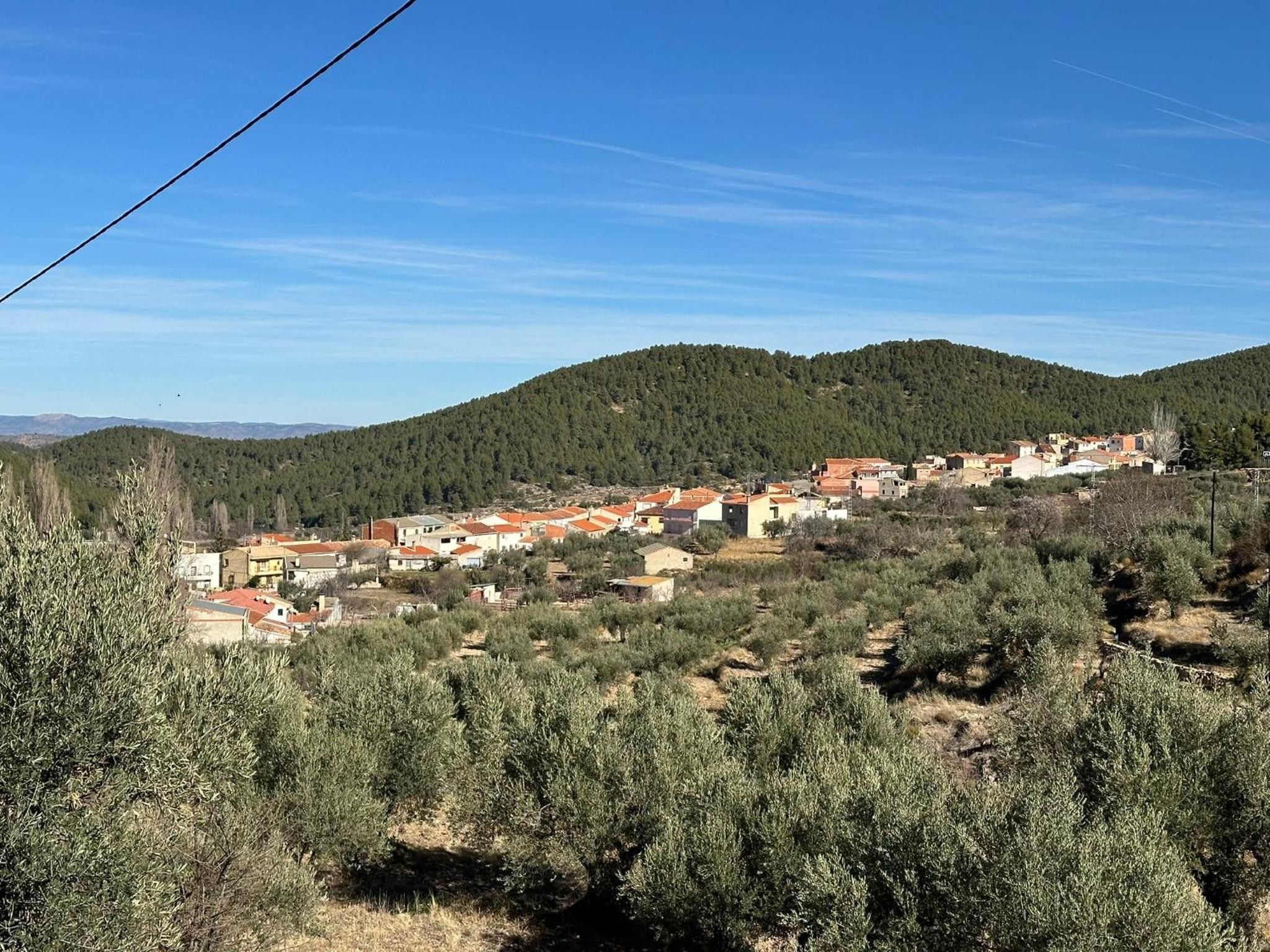 Ein Dorf an einem Hang mit Häusern, Olivenhainen und wolkenlosem Himmel.