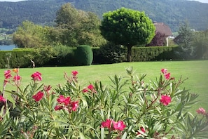 Ein gepflegter Garten mit vielfältigen Pflanzen und einer ordentlich geschnittenen Hecke.
