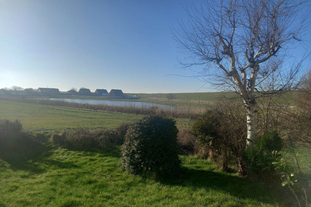 A rural landscape with a body of water, a tree, and a field.