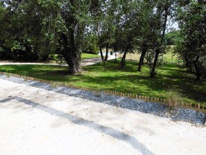Un sendero pavimentado que conduce a una zona verde con árboles y una vista distante de un cuerpo de agua.