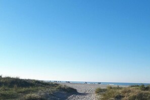 Untagged - Seahorses on the beach (Norddeich)