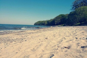 Uma praia com areal, árvores e águas calmas.