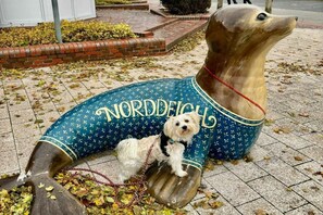 A sculpture of a dog wearing a blue outfit with 'Norddeich' written on it, placed on a paved area with fallen leaves. - Holiday home in Norden with swimming pool (Norden)