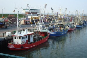 A harbor with multiple fishing boats docked, a small building with a sign, and a clear sky. - Holiday apartment with 2 bedrooms (Dornumersiel)