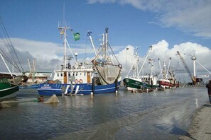 Un puerto con varios barcos pesqueros amarrados, cielo despejado y agua tranquila.