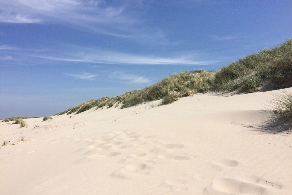 Uma praia arenosa com pegadas e dunas.